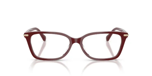 3939 - Bordeaux frame / Clear lenses