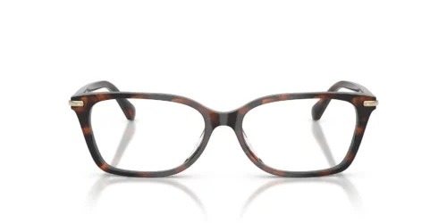 4039 - Mahogany Tortoise frame / Clear lenses