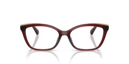 3949 - Dark Red Transparent frame / Clear lenses