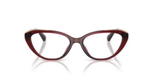 3949 - Dark Red Transparent frame / Clear lenses