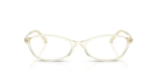 12X1O1 - Ebony Havana frame / Clear lenses