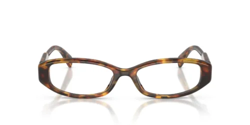 14L1O1 - Honey Havana frame / Clear lenses