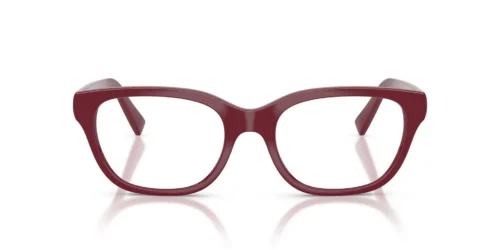 25R1O1 - Bordeaux frame / Clear lenses