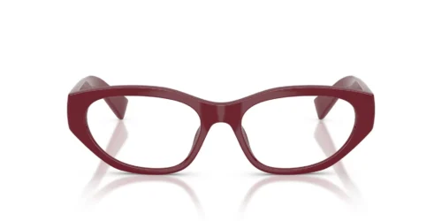 25R1O1 - Bordeaux frame / Clear lenses