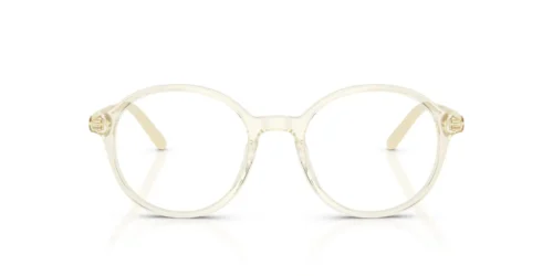 12X1O1 - Ebony Havana frame / Clear lenses