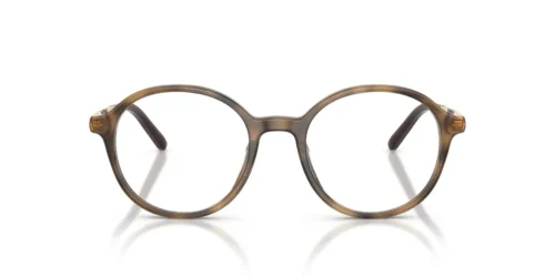 27Q1O1 - Ebony Havana frame / Clear lenses