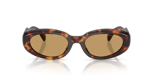 27L10Y - Havana frame / Brown lenses