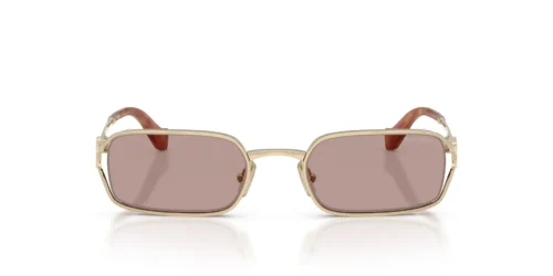 ZVN20I - Pale Gold frame / Light Purple Brown lenses