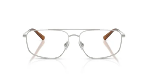 9001 - Shiny Silver frame / Clear lenses