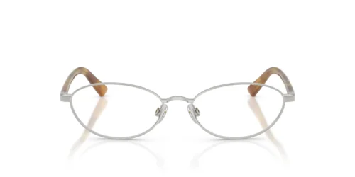 9001 - Shiny Silver frame / Clear lenses