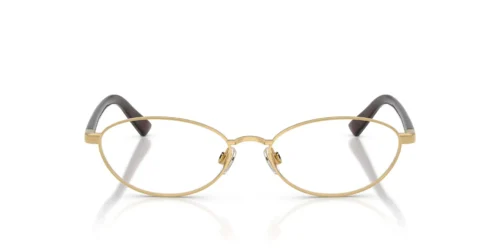 Polo Ralph Lauren  PH1249 Shiny Gold Frame