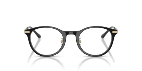 5387 - Shiny Black frame / Clear lenses