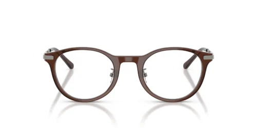6282 - Shiny Transparent Brown frame / Clear lenses