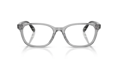 Polo Ralph Lauren  PH2315U Shiny Transparent Grey Frame