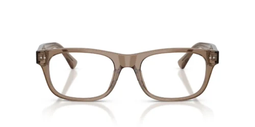 6085 - Shiny Transparent Brown Taupe frame / Clear lenses