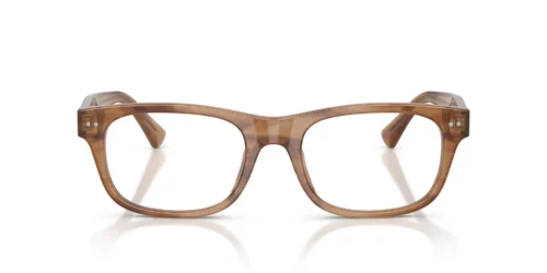 6138 - Shiny Tortoise frame / Clear lenses