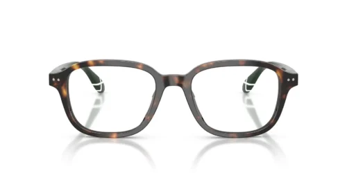 5003 - Shiny Dark Havana frame / Clear lenses