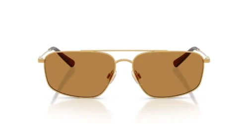 932493 - Shiny Brass frame / Light Brown lenses