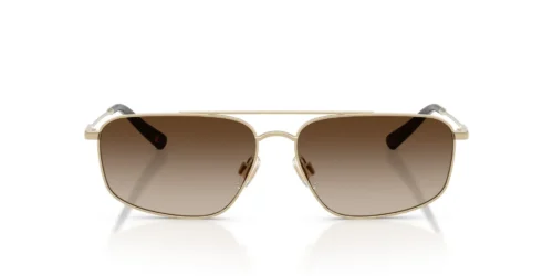 939313 - Montura dorada pálida brillante / Lentes marrones degradadas oscuras