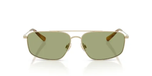 Polo Ralph Lauren  PH3164 Green