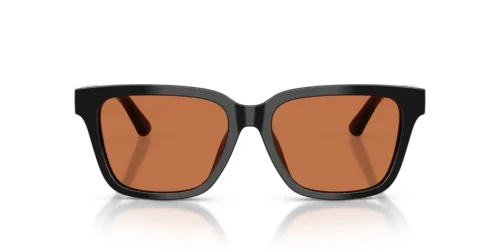 500173 - Shiny Black frame / Brown lenses
