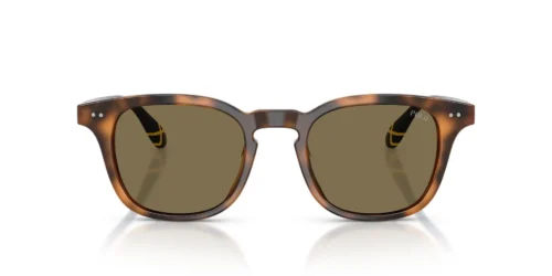 608973 - Shiny Tortoise frame / Brown lenses