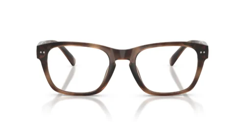 500373 - Shiny Dark Havana frame / Brown lenses