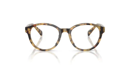 6148 - Yellow Tortoise frame / Clear lenses