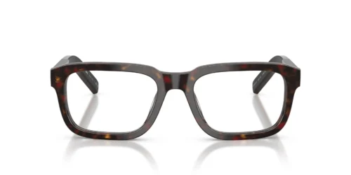 17N1O1 - Root Tortoise frame / Clear lenses