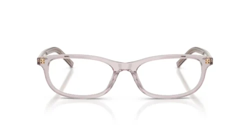 12W1O1 - Transparent Mauve frame / Clear lenses
