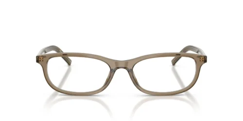 Prada  PRD15VU Transparent Terra Frame