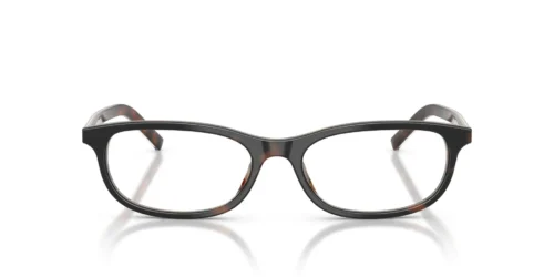 20P1O1 - Cherry Tortoise/Tobacco Horn frame / Clear lenses
