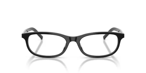 29O1O1 - Black/Basalt Horn frame / Clear lenses