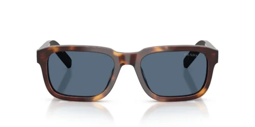 15W06A - Montatura tartarugata classica / Lenti blu scuro