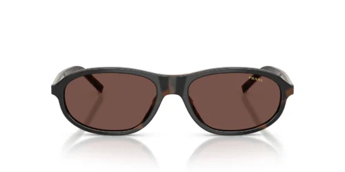 20P90W - Cherry Tortoise/Tobacco Horn frame / Black Chocolate lenses