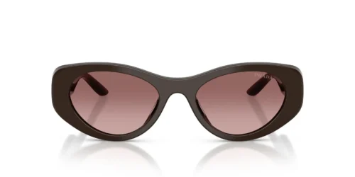27I51B - Cigar frame / Brown Gradient Violet lenses