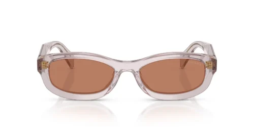 12W10I - Transparent Mauve frame / Brown lenses