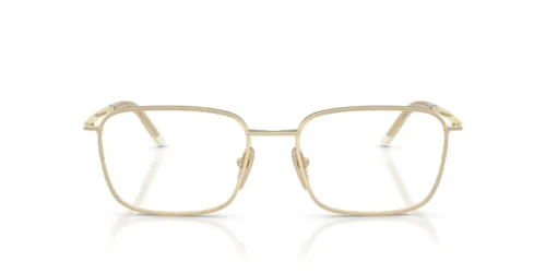 ZVN1O1 - Pale Gold frame / Clear lenses