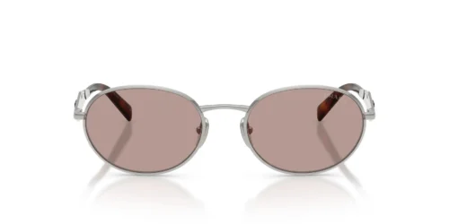 1BC20I - Silver frame / Light Purple Brown lenses