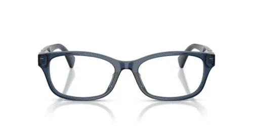 6119 - Transparent Blue frame / Clear lenses