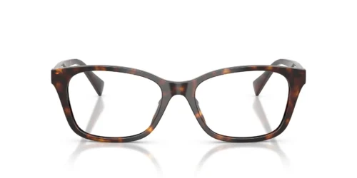 5003 - Havana Brown frame / Clear lenses