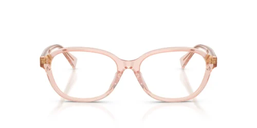 6381 - Transparent frame / Clear lenses