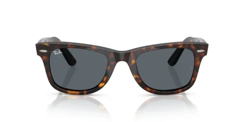 1463R5 - Havana frame / Blue lenses