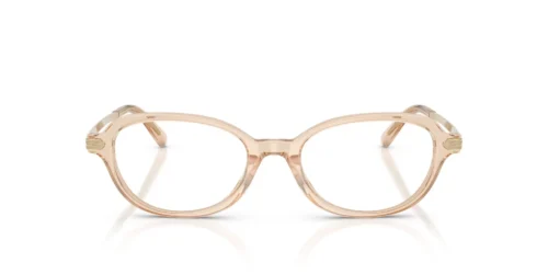 6062 - Transparent Brown frame / Clear lenses
