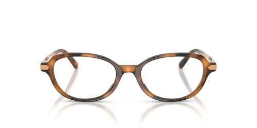 6089 - Havana frame / Clear lenses
