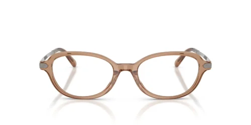 Ralph Lauren  RL6269U Transparent Dusty Brown Frame