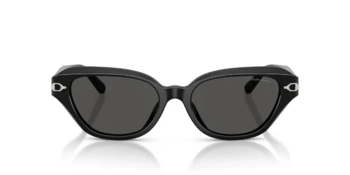 Ralph Lauren  RL8244U Dark Grey