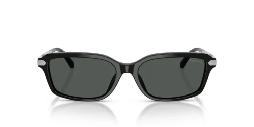 Ralph Lauren  RL8245U Dark Grey