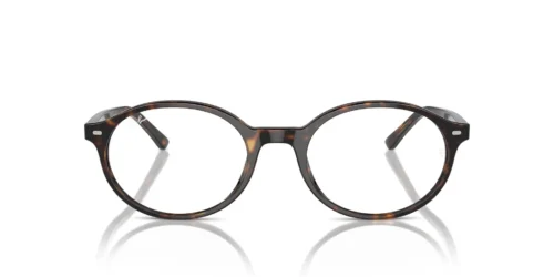 2012 - Monture Havana / Verres transparents