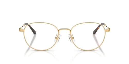 Swarovski  SK1042D Gold Frame
